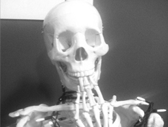 Work to the Bones